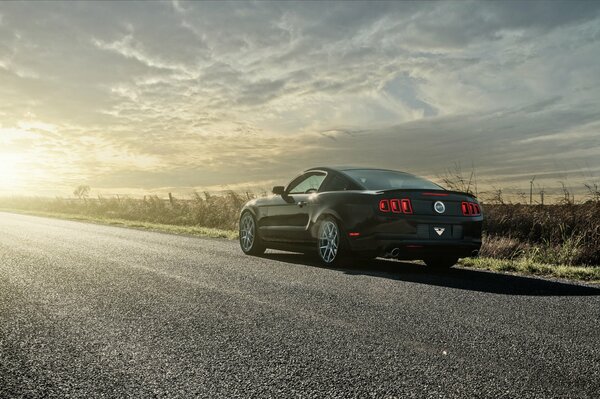 Na drodze w jasnym słońcu czarny Ford Mustang 