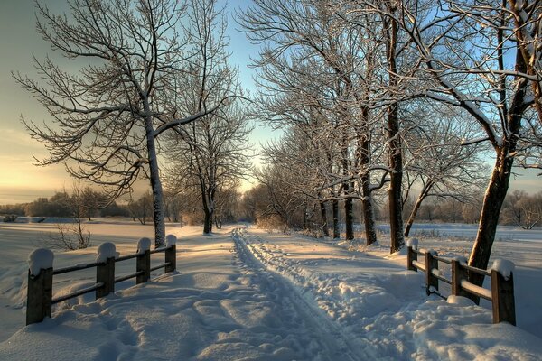 Bäume und ein Zaun neben einer verschneiten Straße