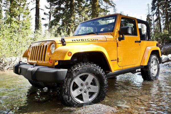 Jeep rengler Rubicon sur fond de nature