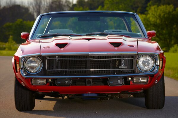 Foto Mustang Shelby Cabriolet gt500 del 1969 vista frontale