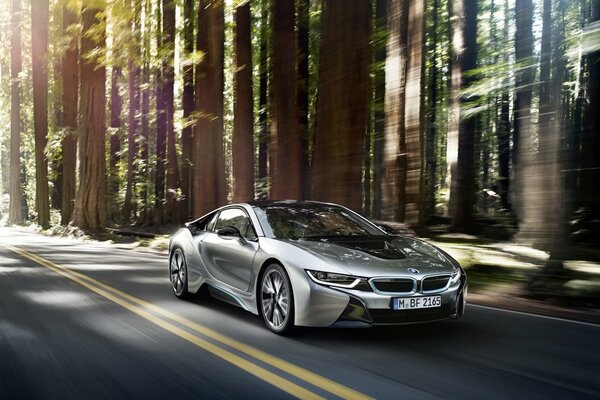 A silver car drives through the forest