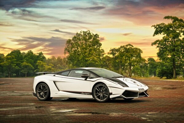 Lamborghini superlegger blanc sur fond d arbres et de ciel