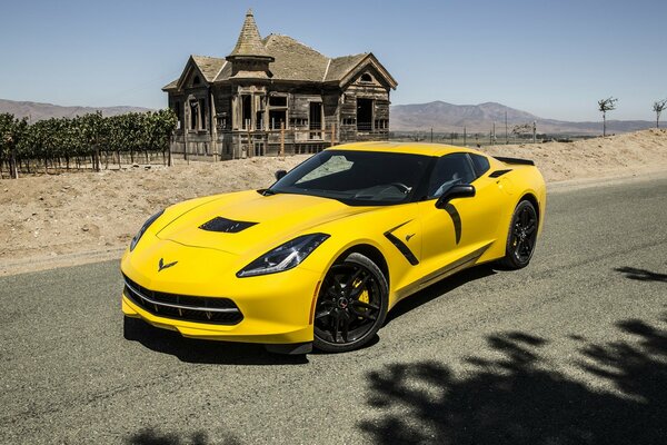 Stingray amarillo y limón en el fondo de una antigua casa de madera