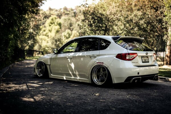 White subaru impreza on a forest background