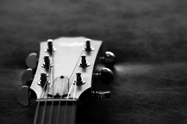 Foto en blanco y negro diapasón de la guitarra