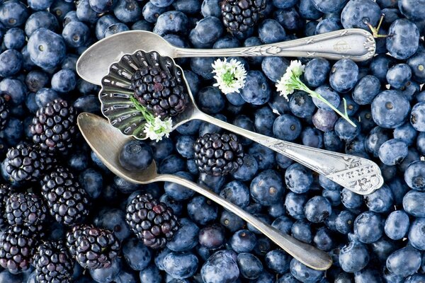 Deliciosos arándanos y bayas, moras con hermosas flores en cucharas