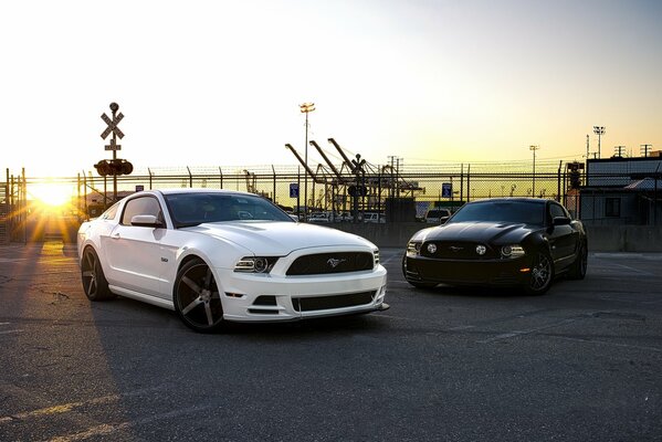 White and black cars in the sunset