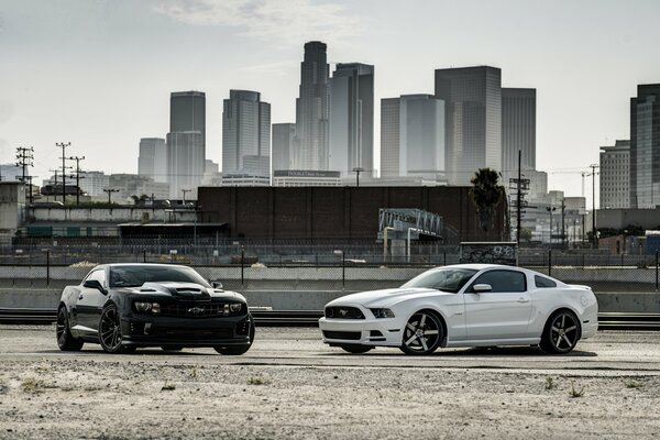 White Chevrolet on the background of skyscrapers