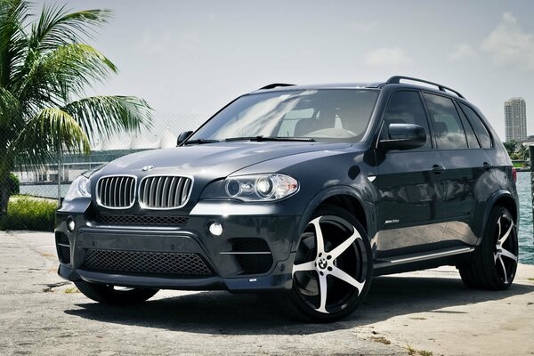 На берегу моря у пальмы стоит автомобиль bmw x5