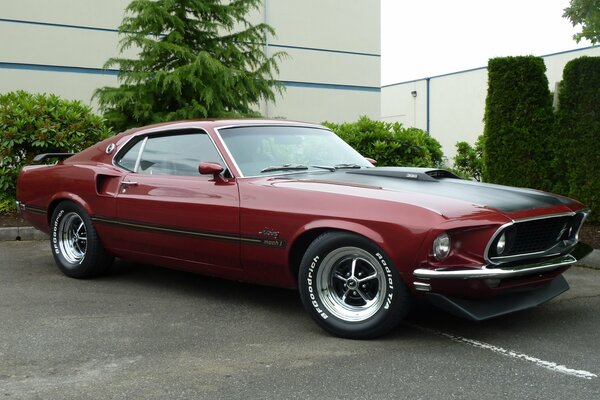 Czerwony Ford Mustang na parkingu