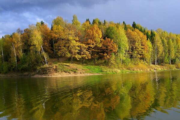 River bank in front of the forest