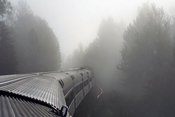 El tren se va al bosque de niebla