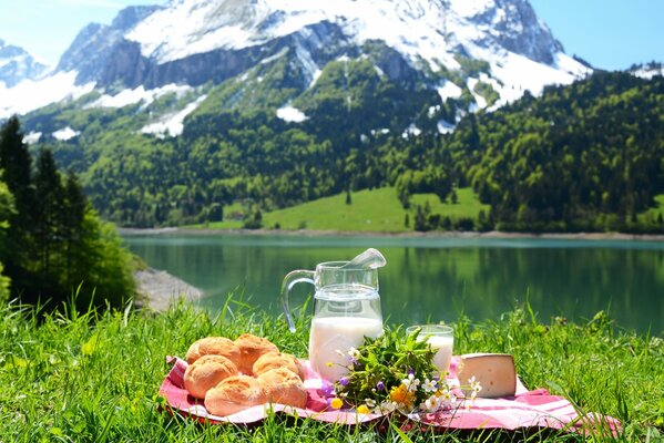 Krug mit Milch Brot für ein Picknick in der Natur