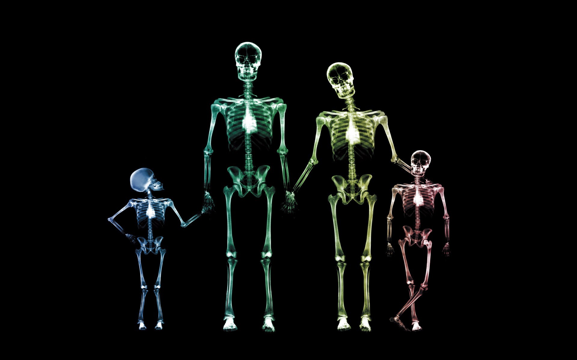 family skeleton x-ray