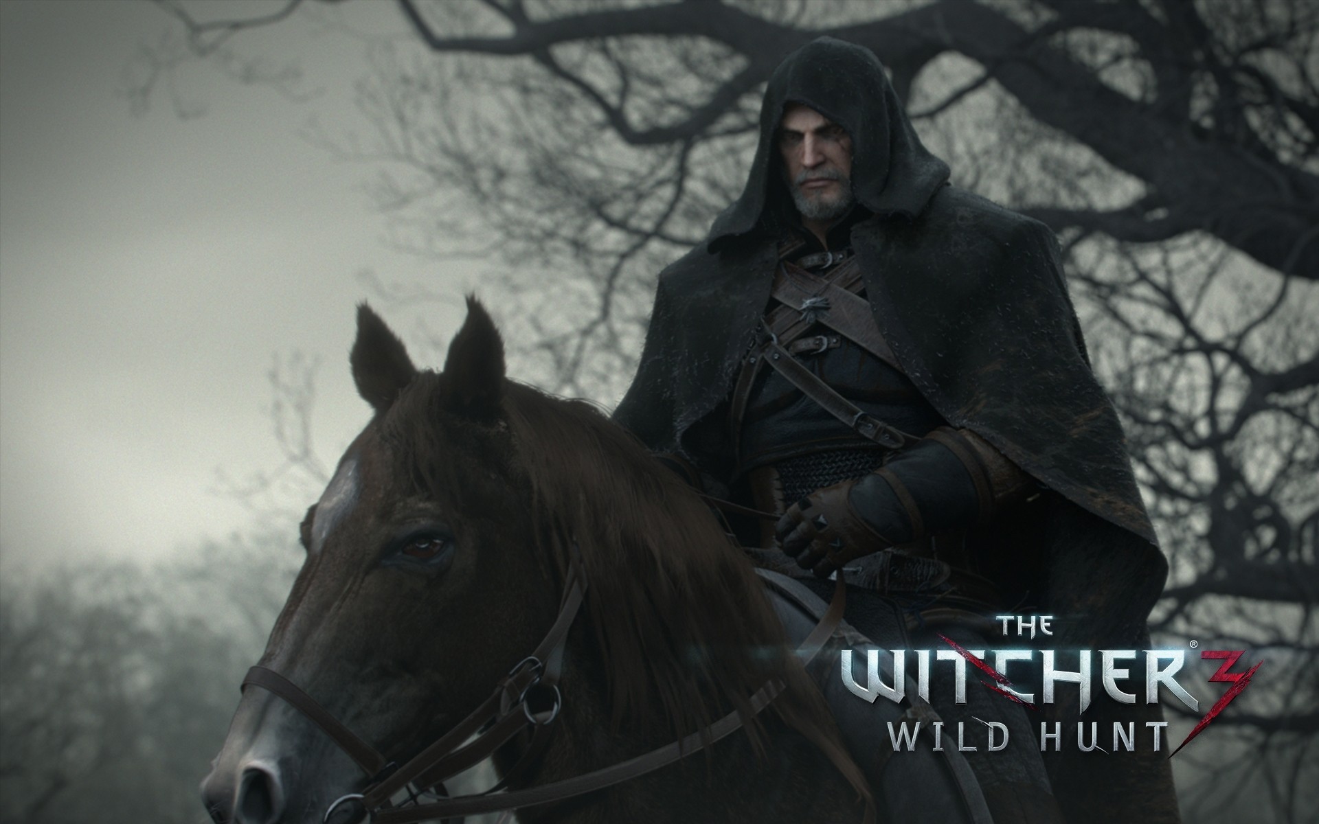 the witcher cd projekt red rpg