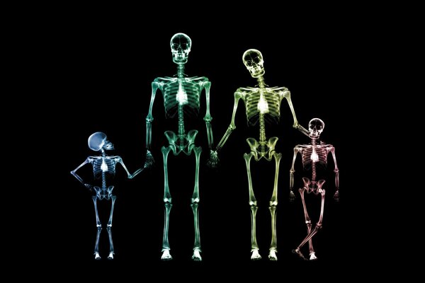 A family of colorful skeletons on a black background