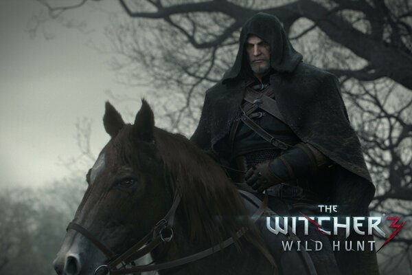 Strange game, witcher, fantasy, izvor