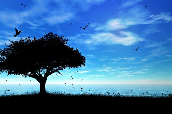 Pájaros volando sobre un árbol en la sombra, al amanecer, en la orilla del mar