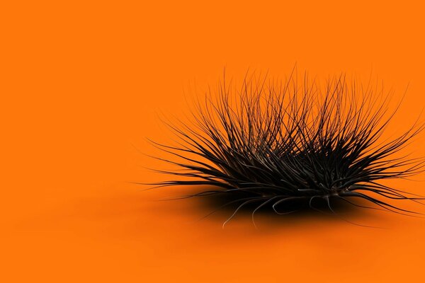 Hedgehog bush in the orange desert