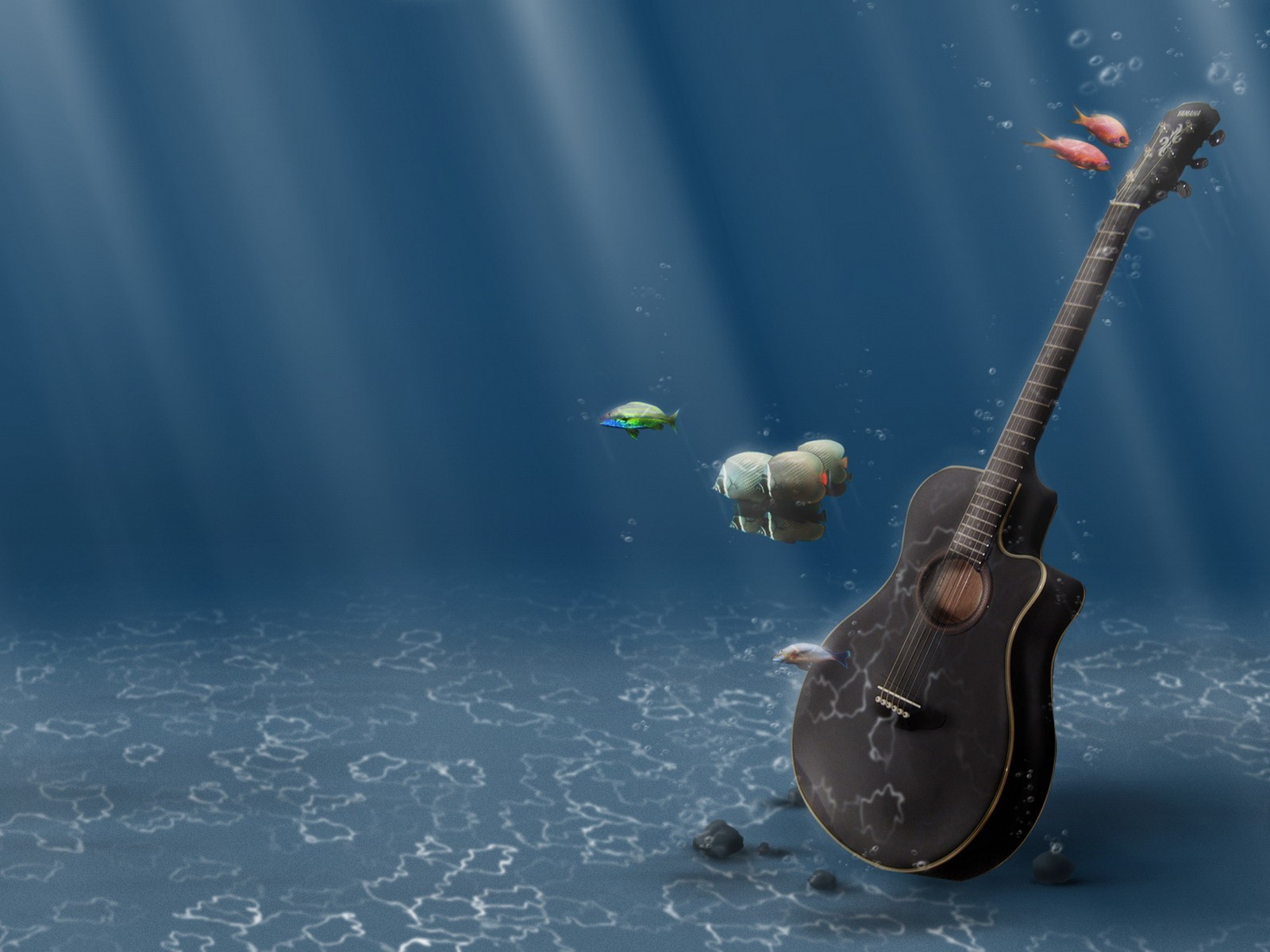 guitare eau poissons