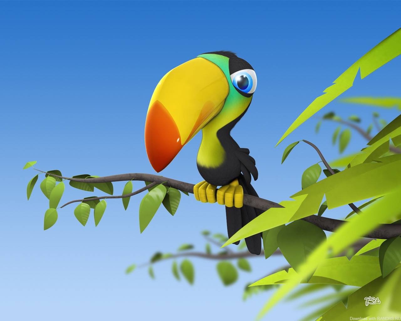 toucan oiseau branche feuilles