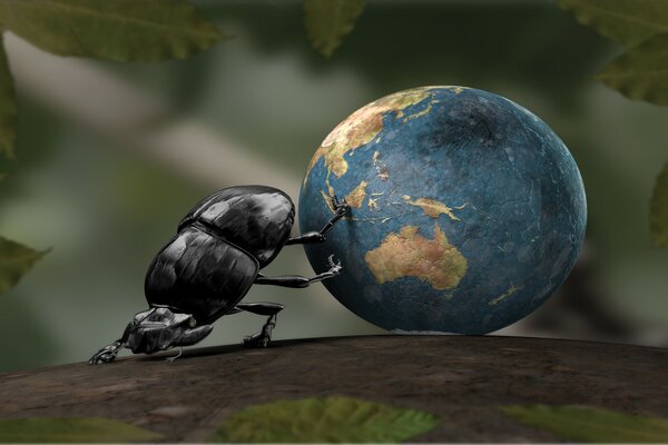 A dung beetle drags a ball of earth