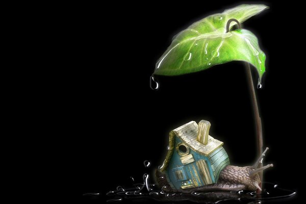 The shell of a snail in the form of a house is sheltered under a leaf from the rain