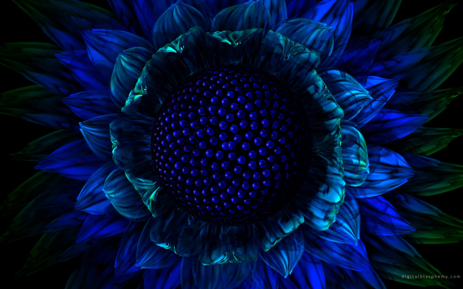 blume blau grafik