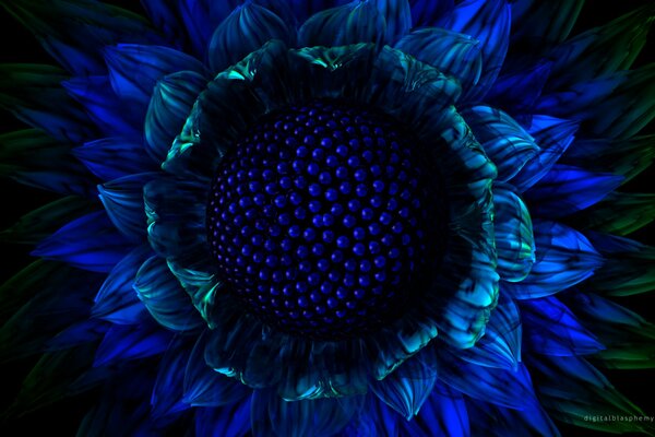 Imagen gráfica de una flor azul