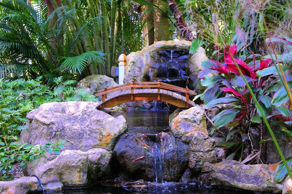 Waterfall of stones among palm trees