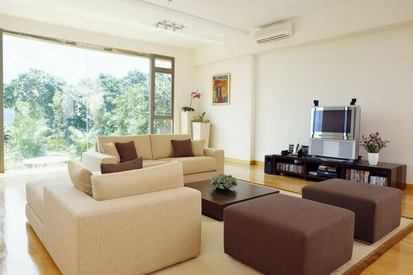 Living room with sofas and TV