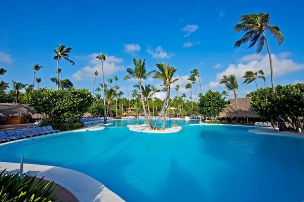 Ein riesiger Pool mit Palmen in der Nähe des Bungalows