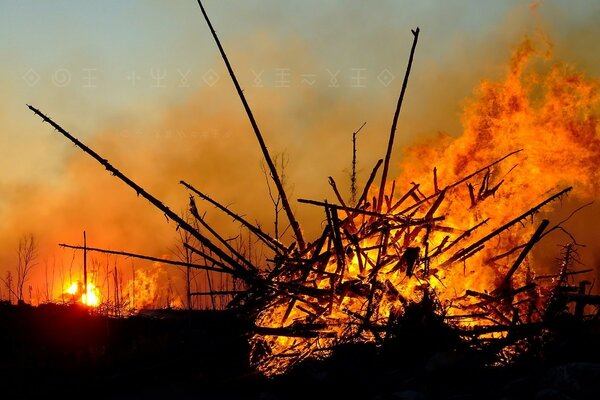 Los palos se queman en un gran incendio