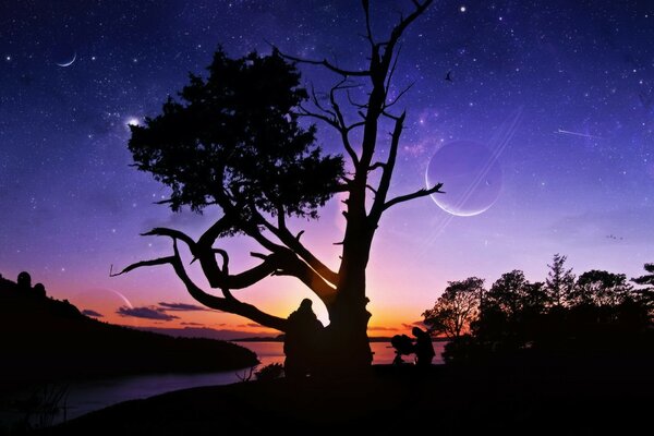 Siluet tree on the background of a starry night