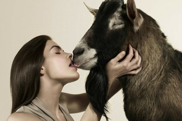 Tierliebe schreckliches Foto