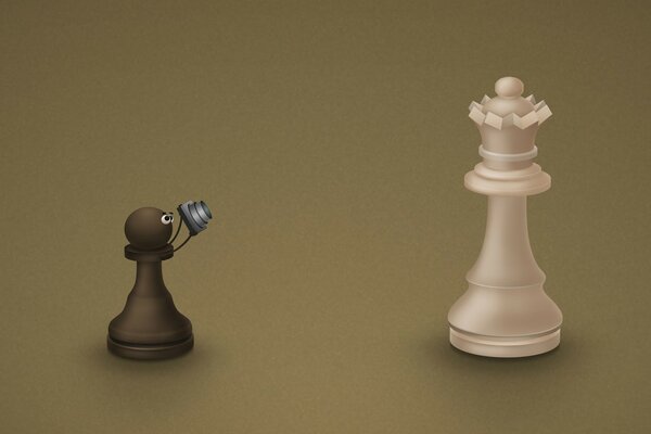 Two chess pieces a black pawn and a white queen