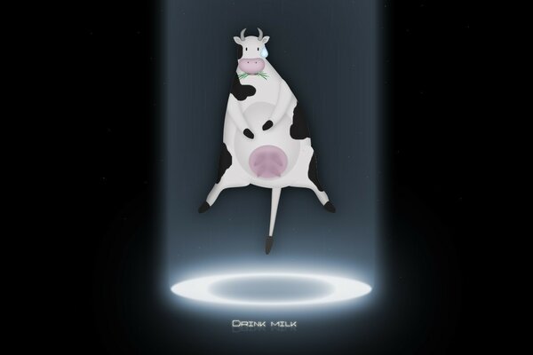 A cow is abducted by a UFO, it flies