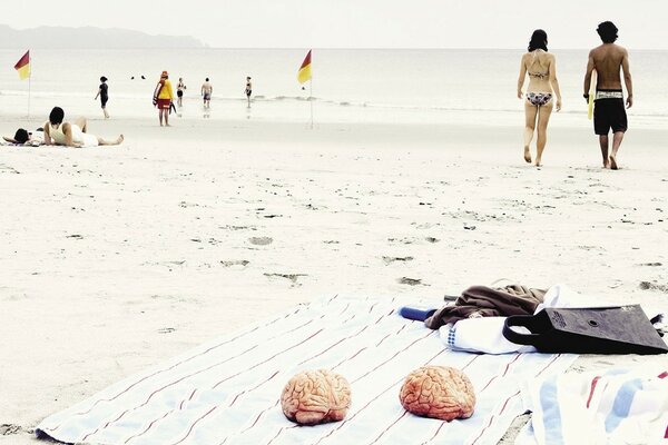 Cerebros en la mentira de la playa en verano