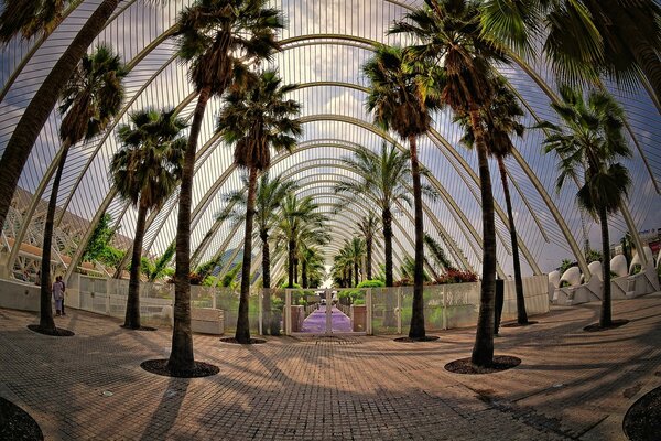 Giardino recintato di palme in Spagna