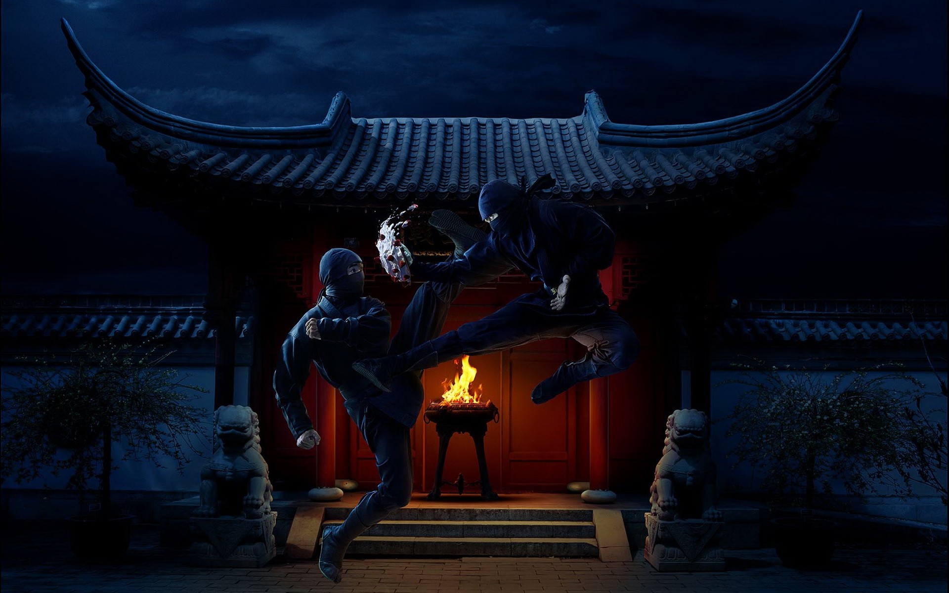 ninja temple feu nuit