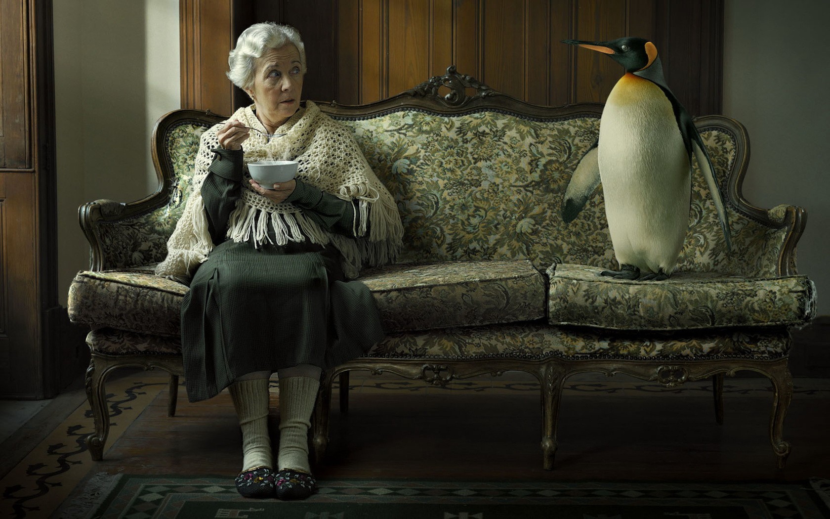 grandmother sofa penguin