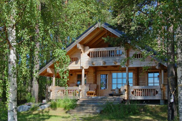 Casa in legno nella foresta di betulle