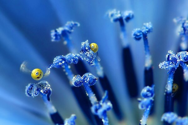 Emoticons sit on blue flowers