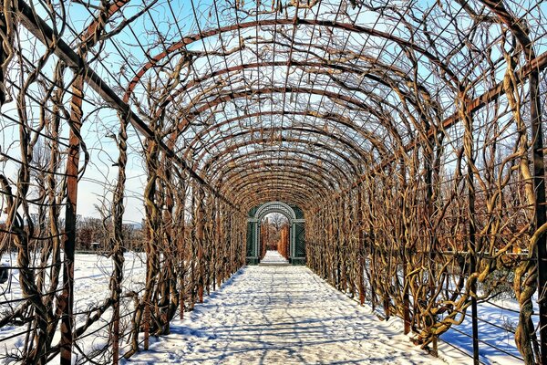 Wooden arch on snowy street