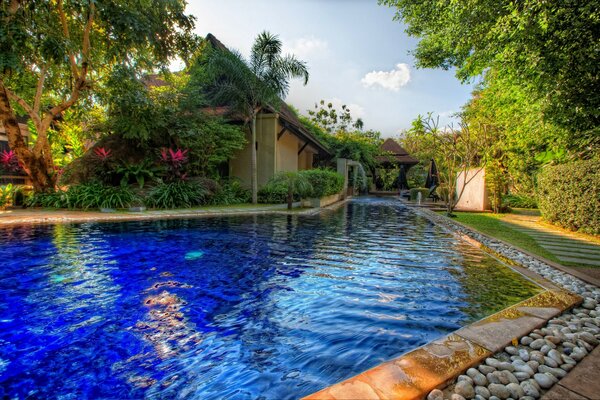 A house with a swimming pool at the Monaco hotel