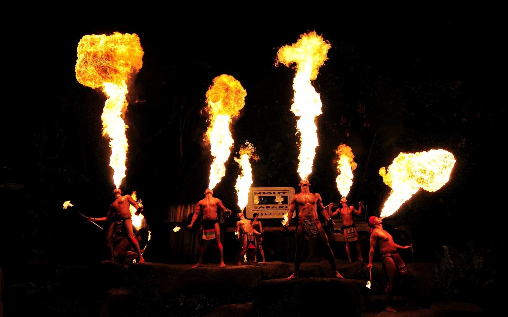 feu nuit sfari singapour spectacle