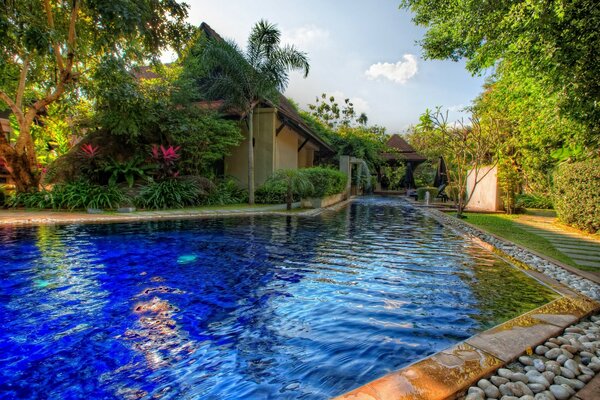 Piscina al aire libre en el patio trasero