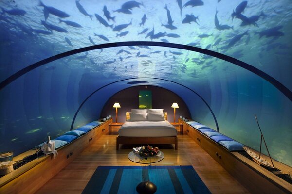 Das Zimmer hat ein echtes Aquarium