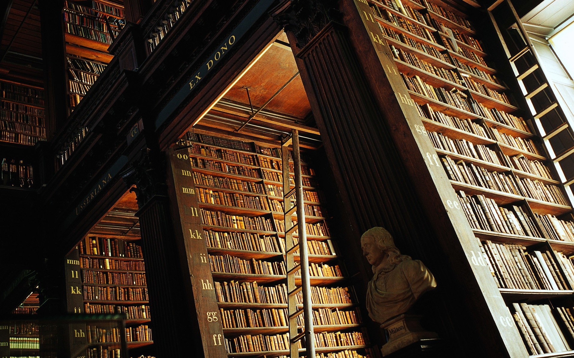 biblioteca libros escalera estanterías