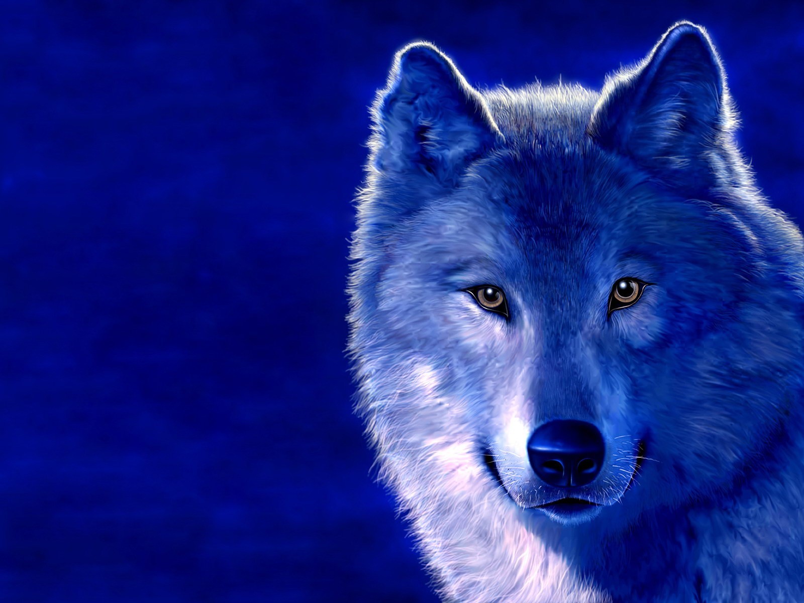 loup dessin bleu